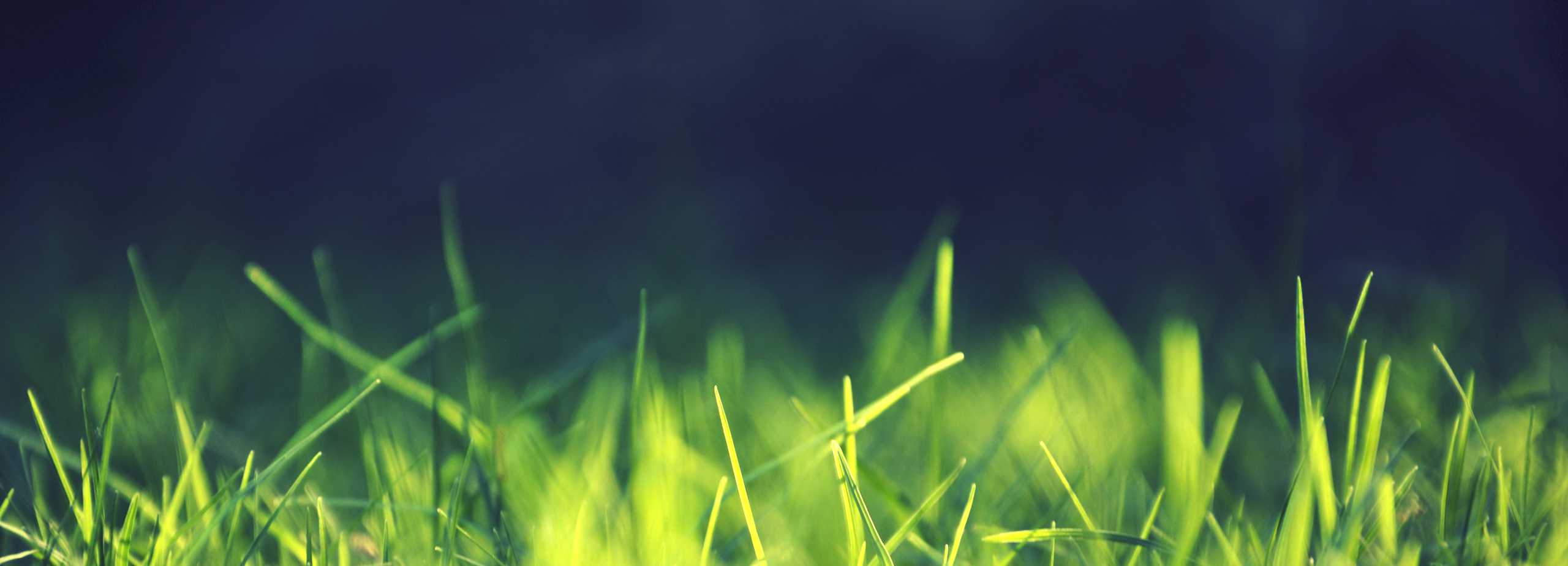 grass Rochester Zoning Alignment Project